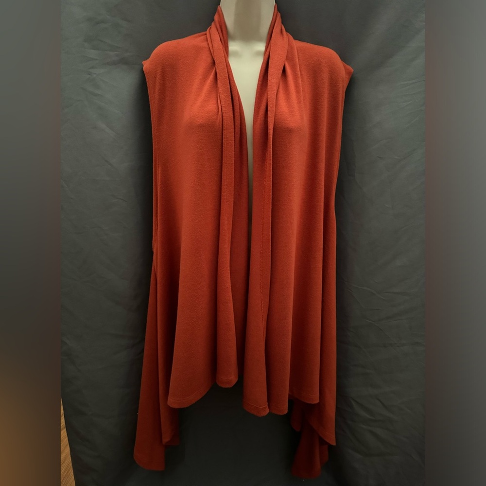 🎀Burnt orange cardigan sweater For Cynthia brand Size Medium
